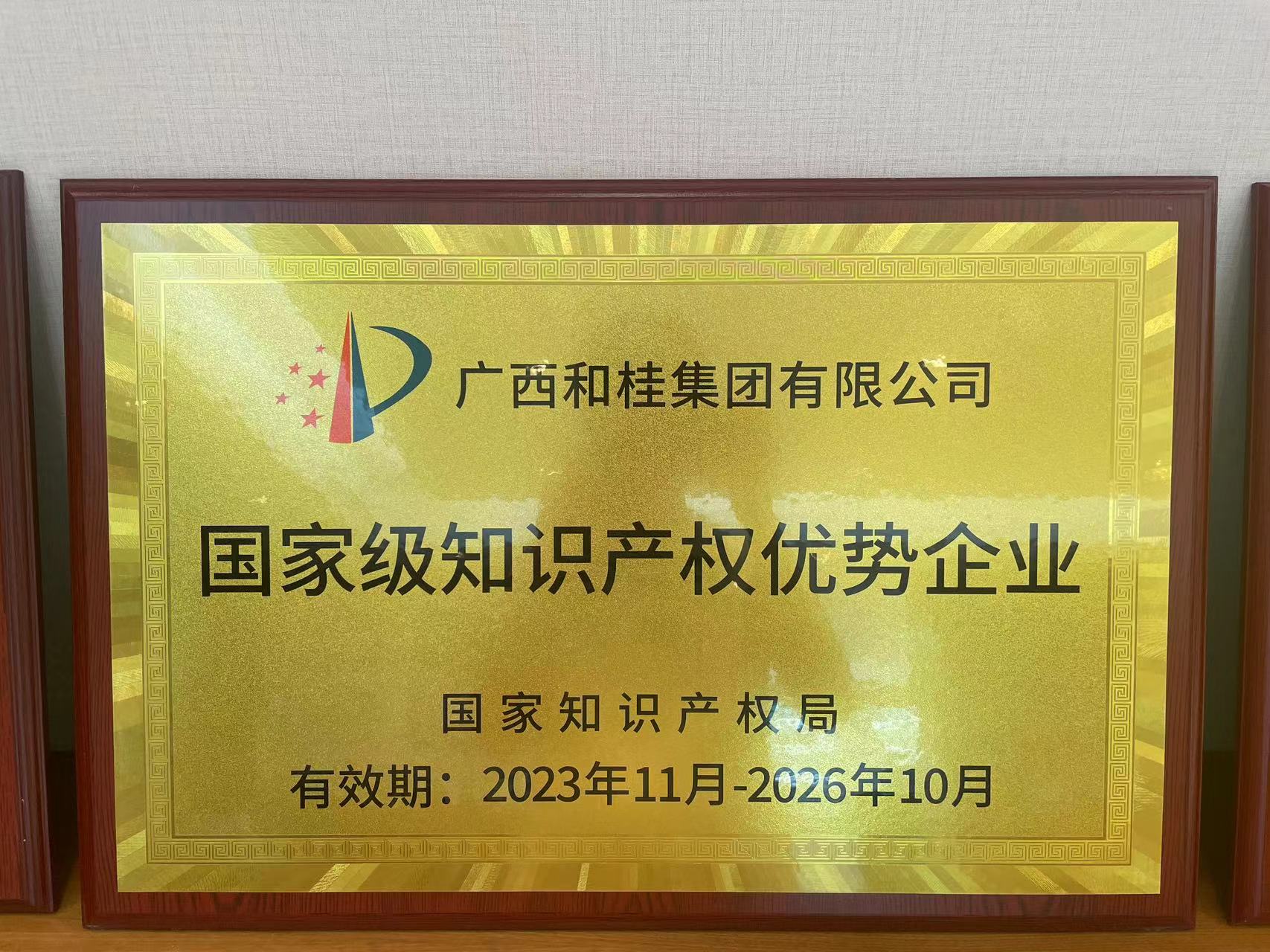 國家級知識產權優(yōu)勢企業(yè)